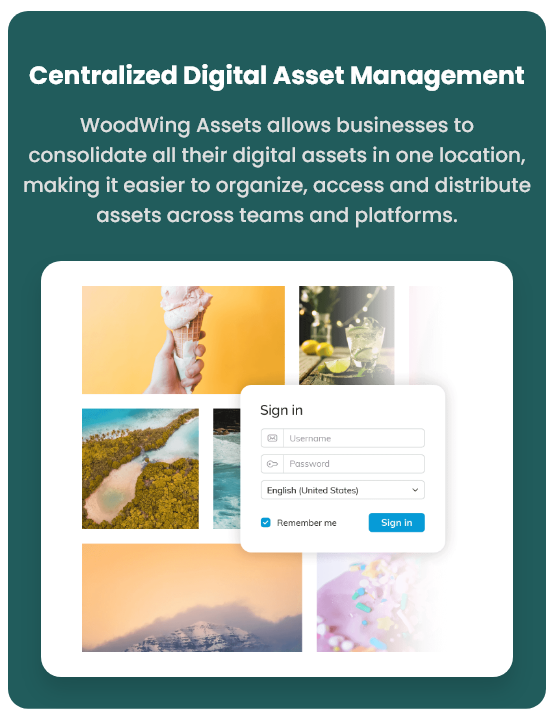 Centralized Digital Asset Management